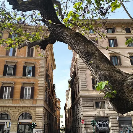 Vatican Near Sweet Home Terrace Rome Exterior photo